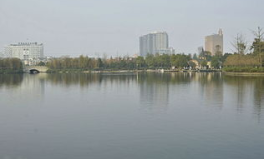 成都南湖公园,绿意盎然的都市休闲胜地